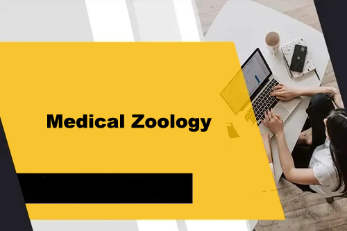 Course - Diploma in Computer Application - 6 Month