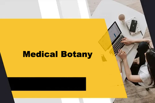 Course - Diploma in Computer Application - 6 Month